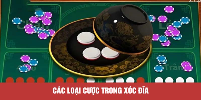 Các loại cược trong xóc đĩa