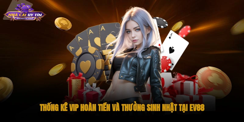 Thống kê VIP, hoàn tiền và thưởng sinh nhật tại EV88
